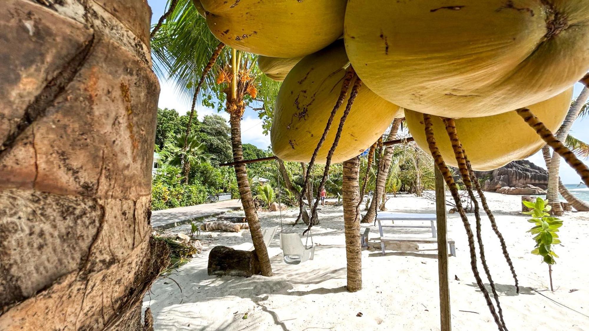 Anse Grosse Roche Beach Villa La Digue  Extérieur photo