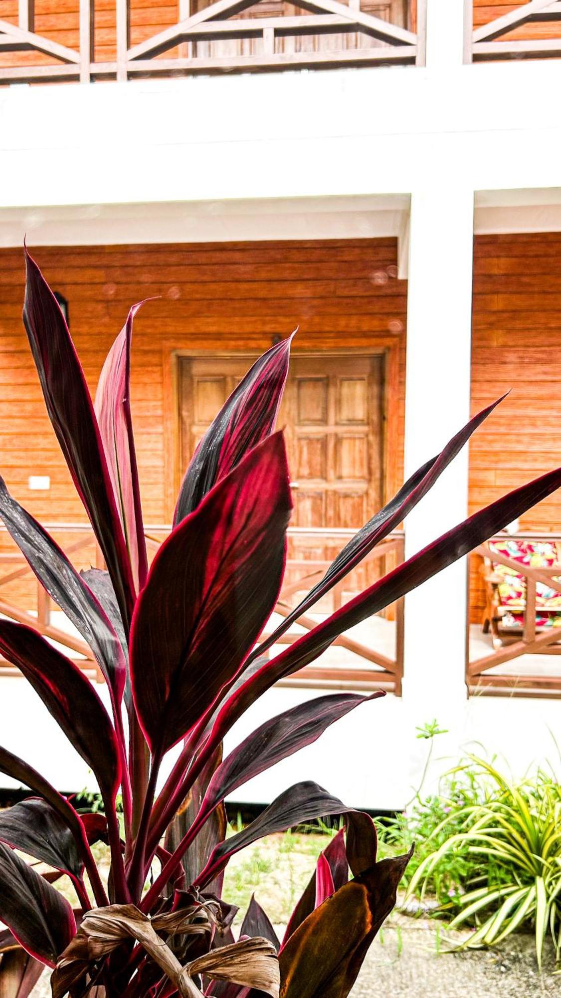 Anse Grosse Roche Beach Villa La Digue  Extérieur photo
